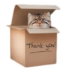 Thank you!