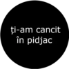 Tanar si nelinistit 21