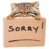 SORRY y!