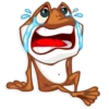 Mr. Frogo 16