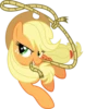 Applejack pack 28