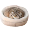 Everyday Manul @animalplantspb 27