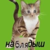 Memes_lol 24