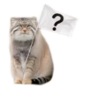 ?