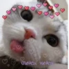 Favorite stickers :: 26