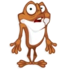 Mr. Frogo 17