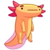 Mexican Axolotl 29