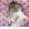 Favorite stickers :: 28