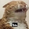 Memes_lol 30
