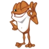 Mr. Frogo 23