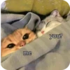 Meowstickmeow 9