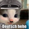 Hehecat :: 3