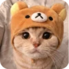 Meowstickmeow 10