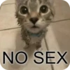 Meowstickmeow 13