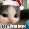 Hehecat :: 6