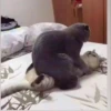 стики тYт👉 9