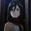 Mikasa 7