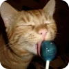 Meowstickmeow 14