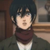 Mikasa 8