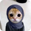 Meowstickmeow 16
