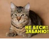 ОБАМА БЛЯТЬ 16