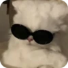 Meowstickmeow 18