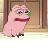 Pink Pepe 16