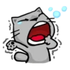 Meow Zhua Zhua 12