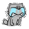 Meow Zhua Zhua 13