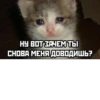 Melfis mem :: 10