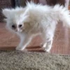 стики тYт👉 19