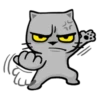 Meow Zhua Zhua 15