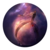 The Little Prince 9