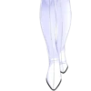 Longest girls II 12