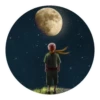 The Little Prince 11