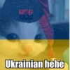 Hehecat :: 9