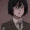 Mikasa 12