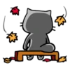 Meow Zhua Zhua 20