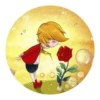 The Little Prince 13