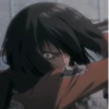 Mikasa 13