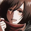 Mikasa 15