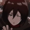 Mikasa 16