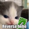 Hehecat :: 12