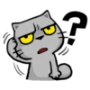 Meow Zhua Zhua 21