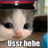 Hehecat :: 13