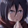 Mikasa 18