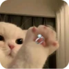Meowstickmeow 26