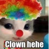 Hehecat :: 16