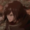 Mikasa 19