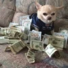 Mood 24